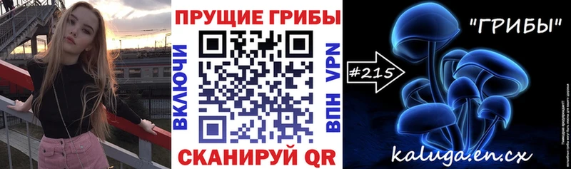 Галлюциногенные грибы MAGIC MUSHROOMS  Купить закладки  Дятьково 